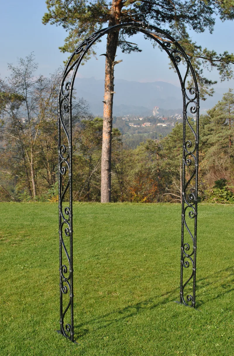 Forged Arch “Primus”